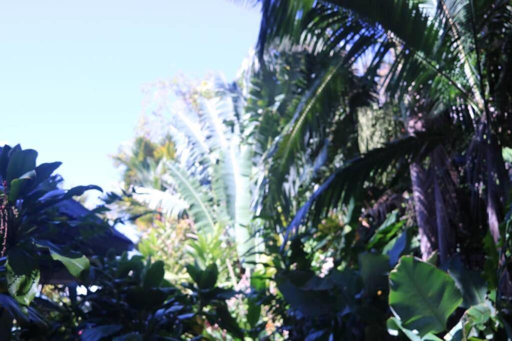 Beauty Tiny Walk To Sea Villa Port Douglas Dış mekan fotoğraf