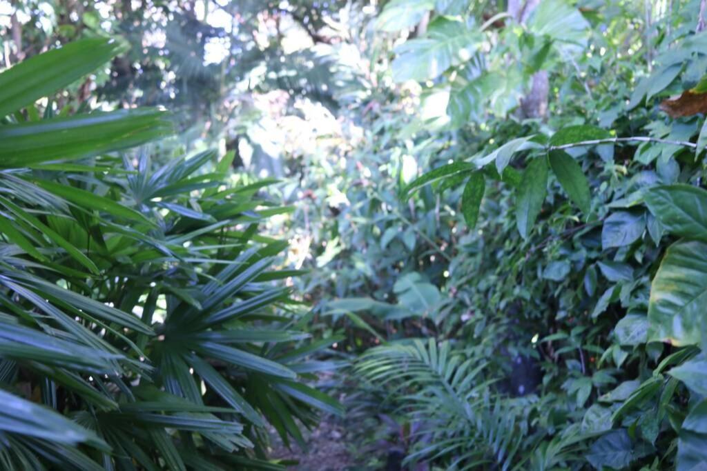 Beauty Tiny Walk To Sea Villa Port Douglas Dış mekan fotoğraf