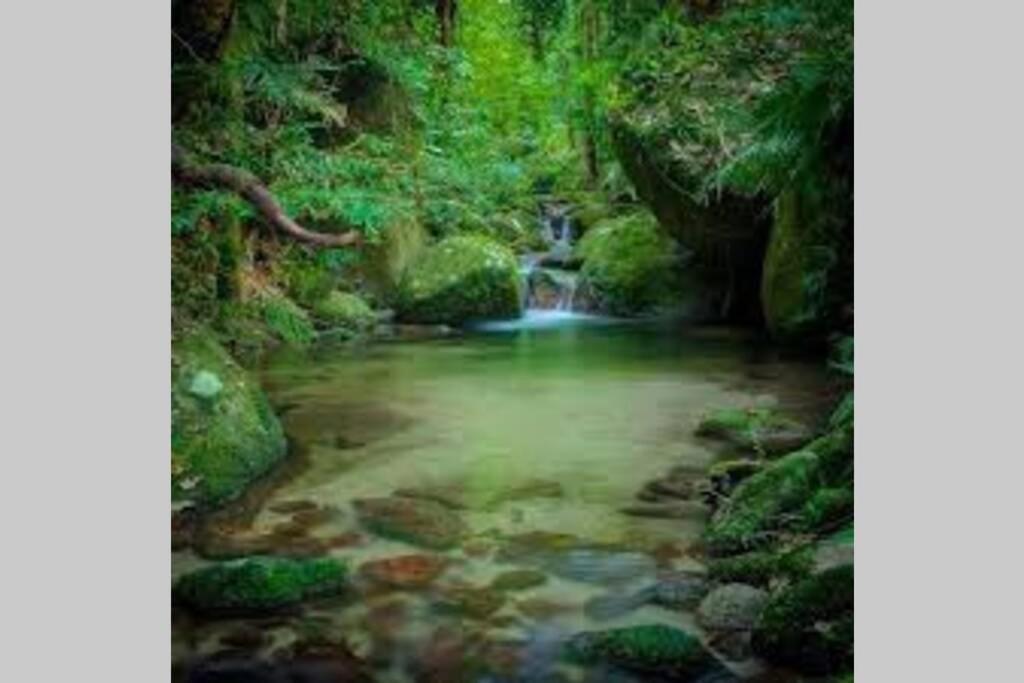 Beauty Tiny Walk To Sea Villa Port Douglas Dış mekan fotoğraf