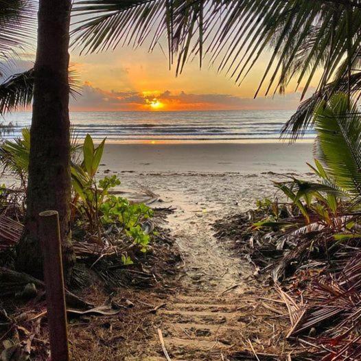 Beauty Tiny Walk To Sea Villa Port Douglas Dış mekan fotoğraf
